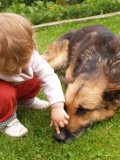 Image of child petting dogs nose